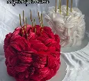 1000115802.webp