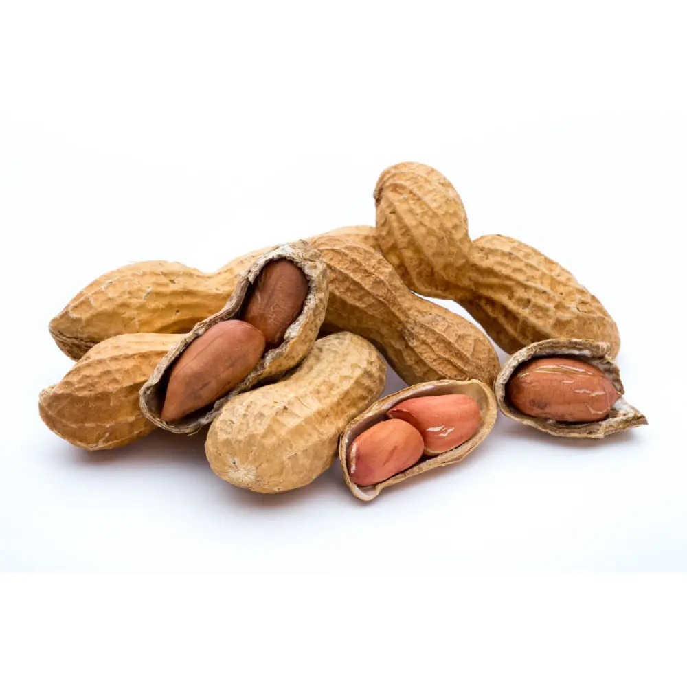 CACAHUETTES GASRA