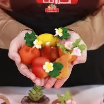 COLORANT FRUCTA LIQUIDE 30ML