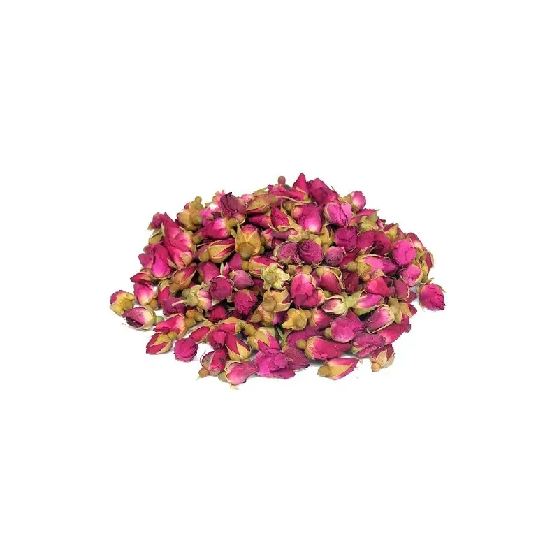 WARD CHOUCHE ROUGE HAB